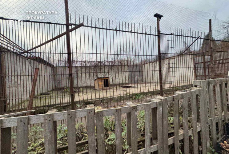 У Хмельницькому втекли на свободу дві ле…