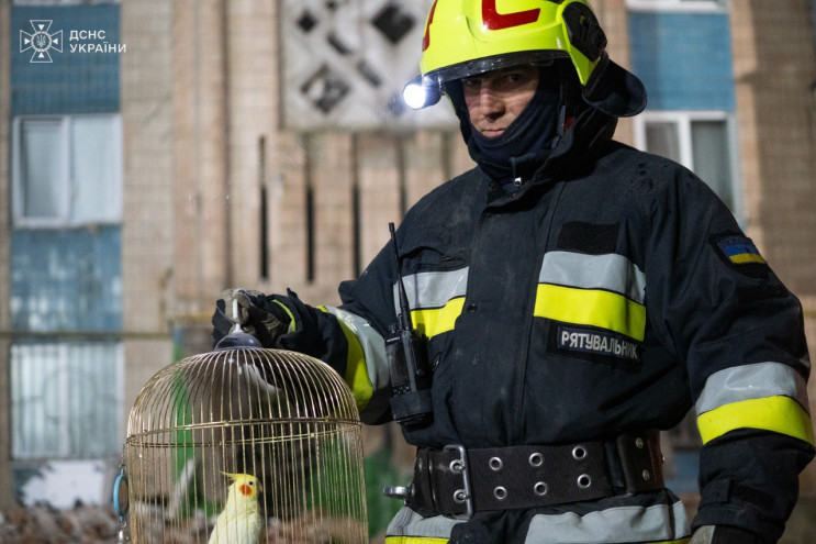 Серед уламків бетону в руїнах будинку у…