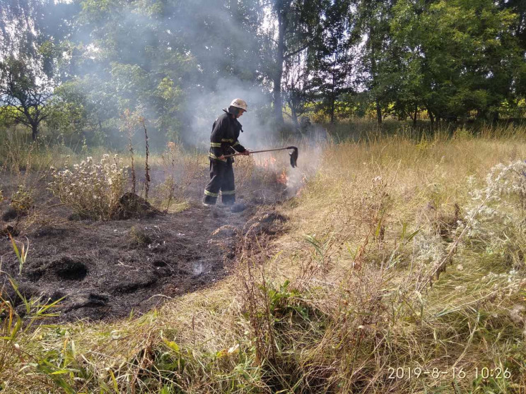 Пів гектара за пів години: на Вінниччині…