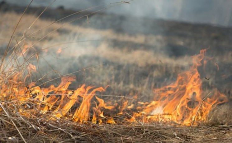 Жителів Кропивниччині попереджають про н…