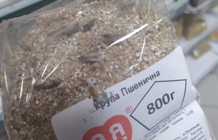 У супермаркетах Закарпаття м’ясо з личинками мух