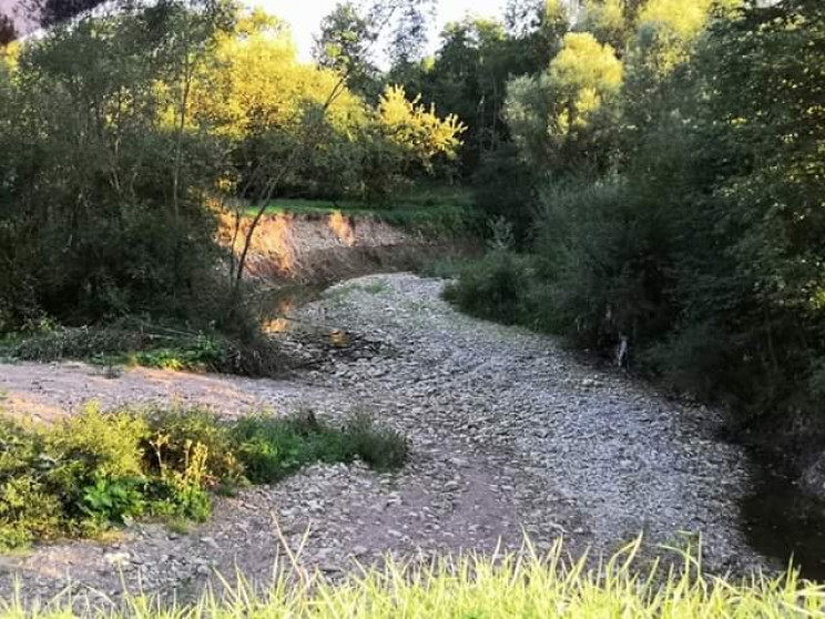 На Прикарпатті пересохла річка, яку коли…