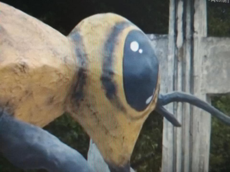 На Запоріжжі відкрили пам’ятник бджолі:…