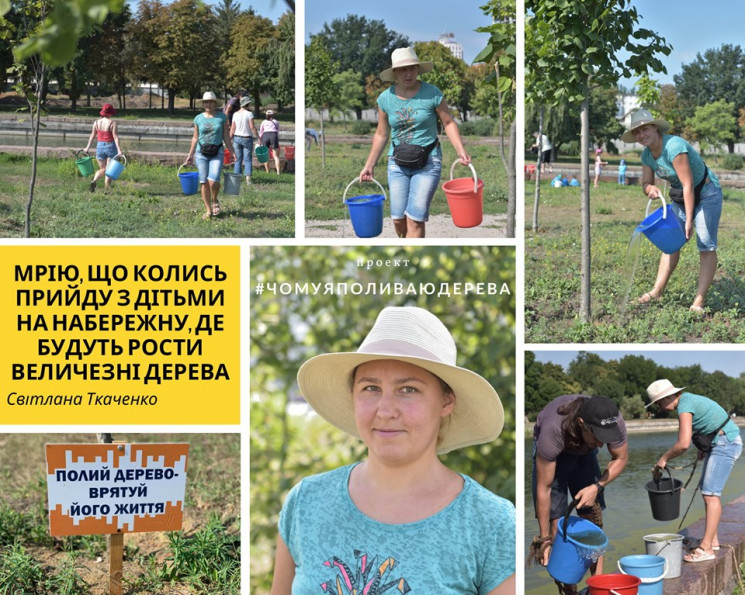 Кропивничан запрошують поливати дерева…