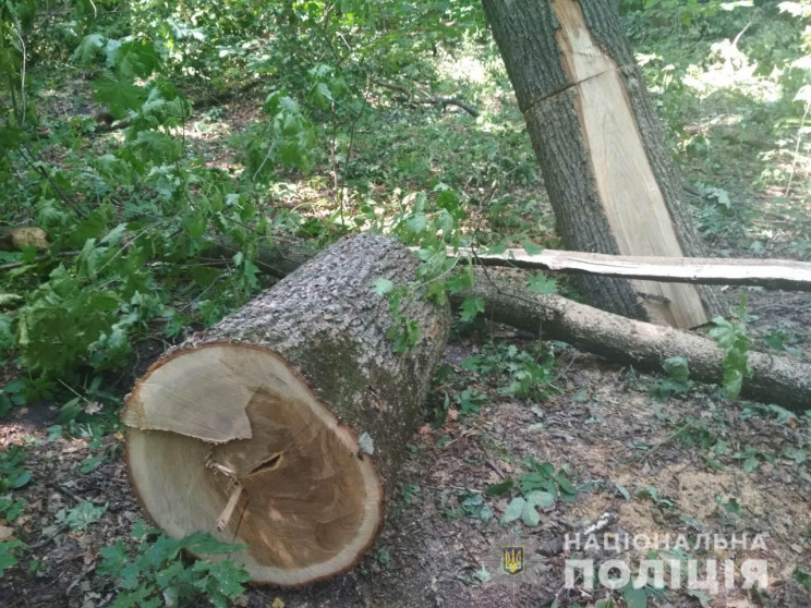 Поліція Полтавщини розшукує "вбивців" лі…