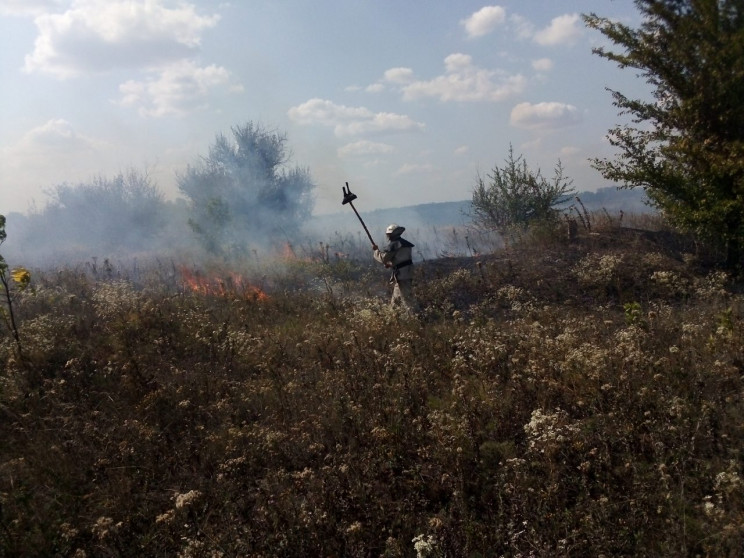 Півтора десятка пожеж гасили на Кропивни…