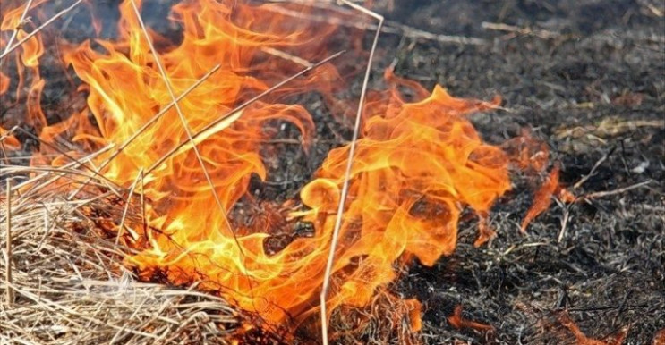 В Україні оголошено надзвичайну пожежну…