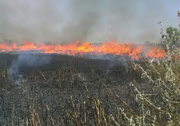 На Полтавщині пожежі знищили близько 60…