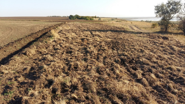 На Одещині фермери розорали заповідний с…