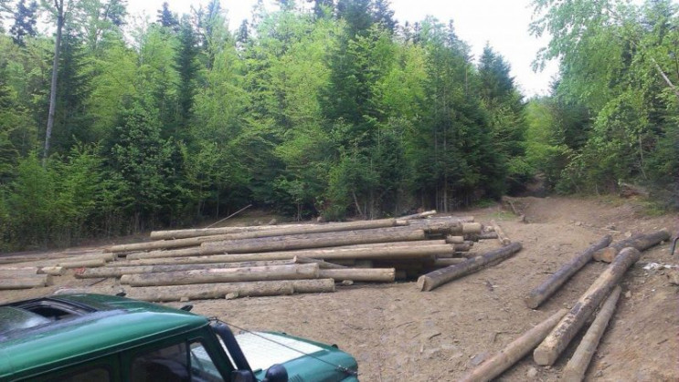 На Косівщині місцеві мешканці захопили л…