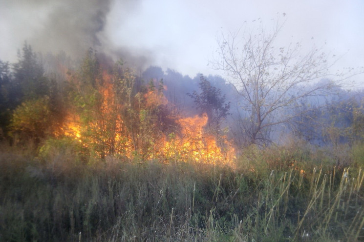 На Харьковщине пожары охватили почти 30…