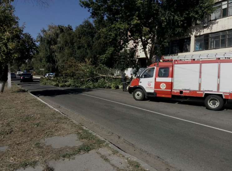 На Херсонщине на проезжую часть упало ог…