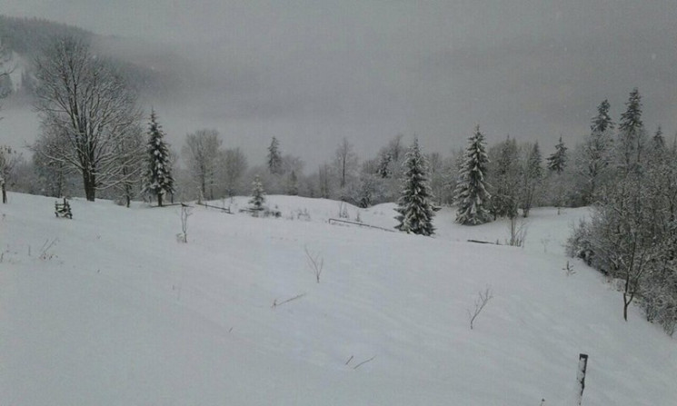 На Закарпатье горные села засыпало снего…