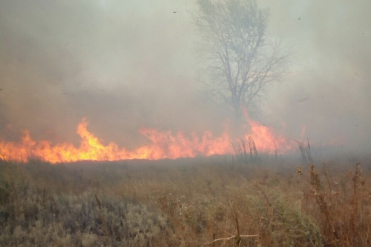 Пожежа на військовому полігоні під Харко…