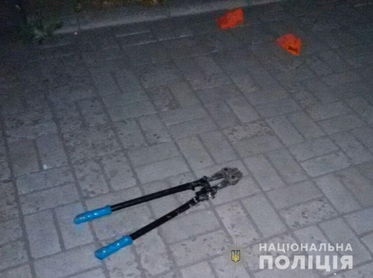 У Запоріжжі зловмисник жбурнув у поліцей…