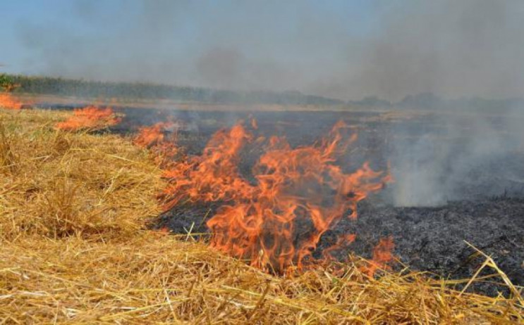 В плену огня: С начала года на Полтавщин…