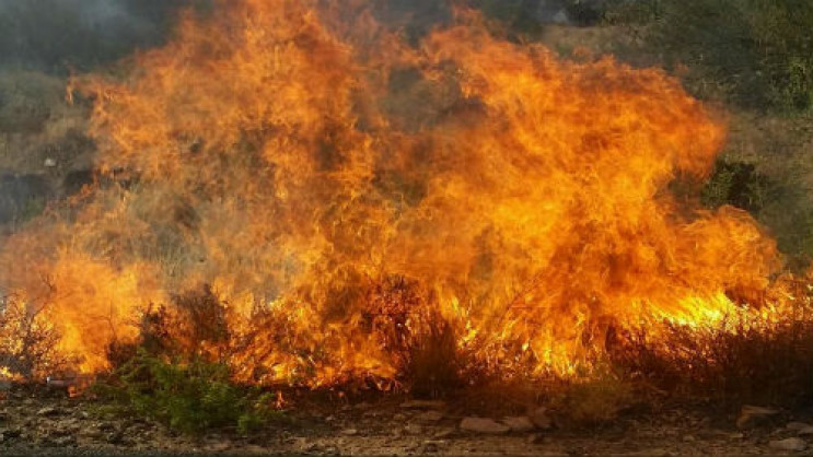 На Полтавщині під Кременчуком палає лісо…