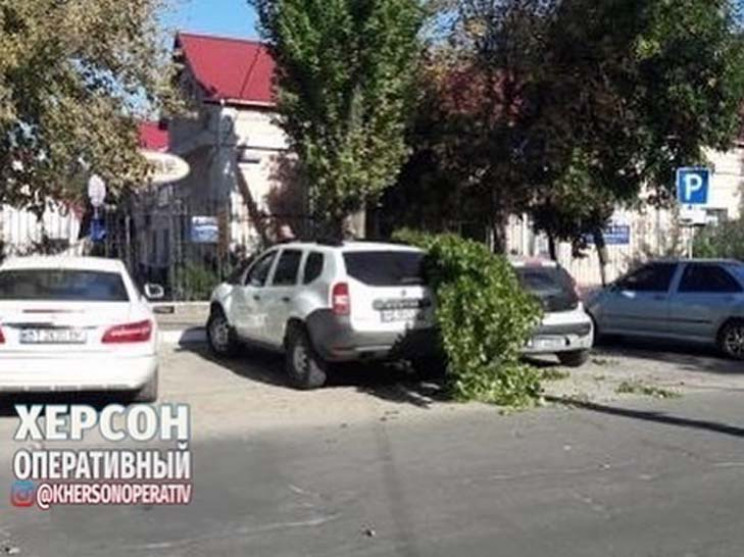 В Херсоне большая ветка упала на автосто…