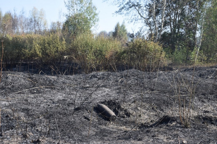 Пожежа на артполігоні під Харковом: Площ…