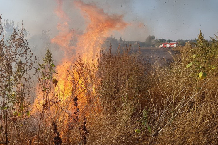 На Харьковщине сгорело 70 га сухостоя…