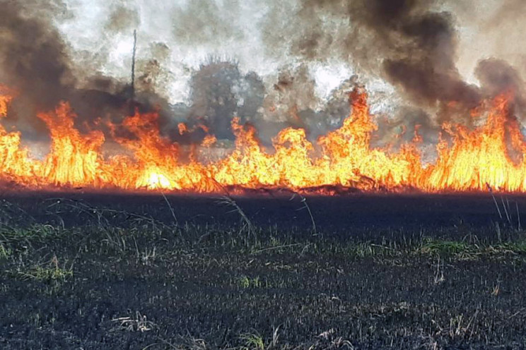 Масштабна пожежа: На Полтавщині горить 3…