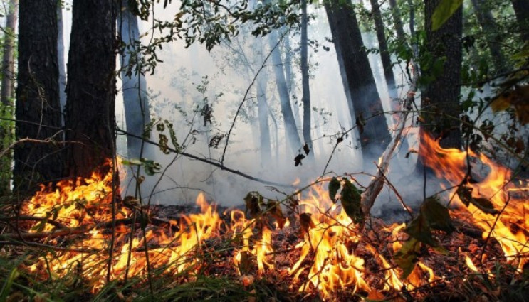 У Києві триває надзвичайна пожежна небез…