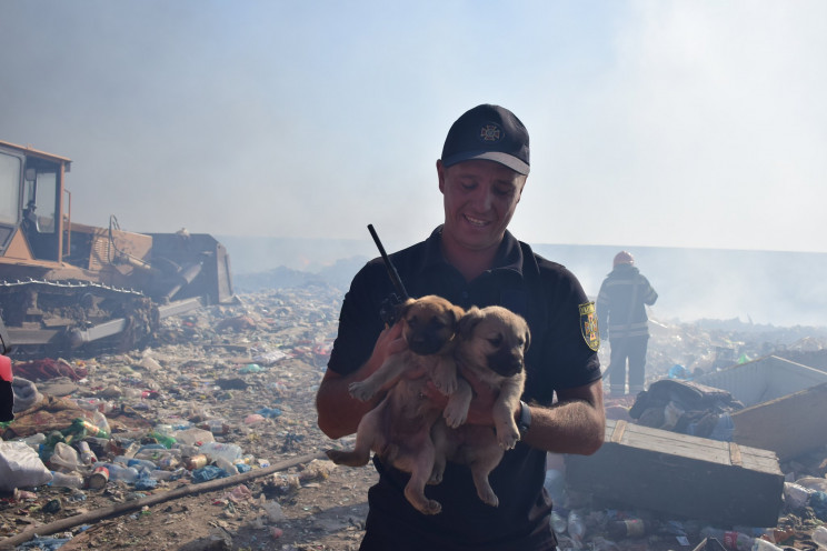 На звалищі під Миколаєвом рятувальники в…