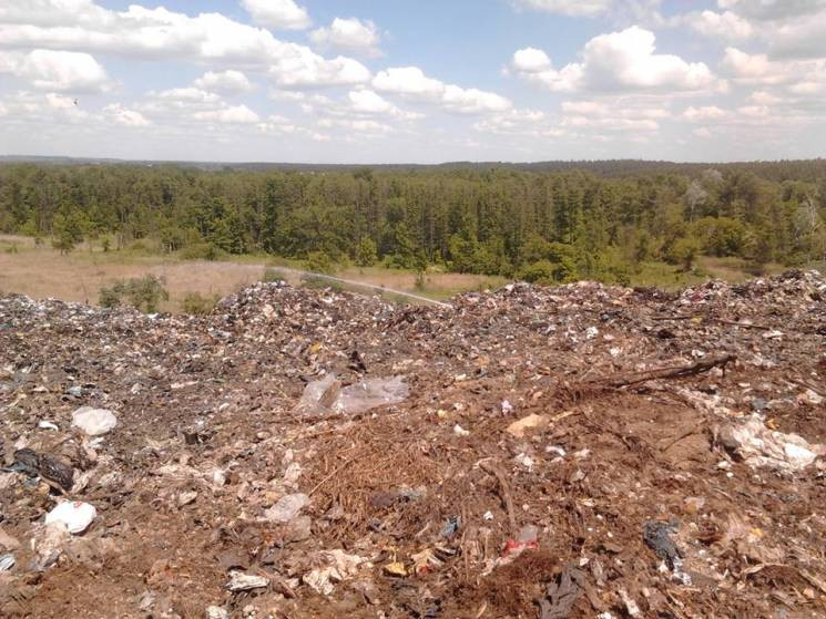Коммунальщики завалили мусором лес в Коб…