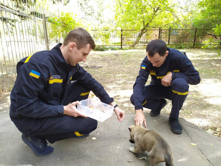 В Марганце спасатели забрали к себе мале…