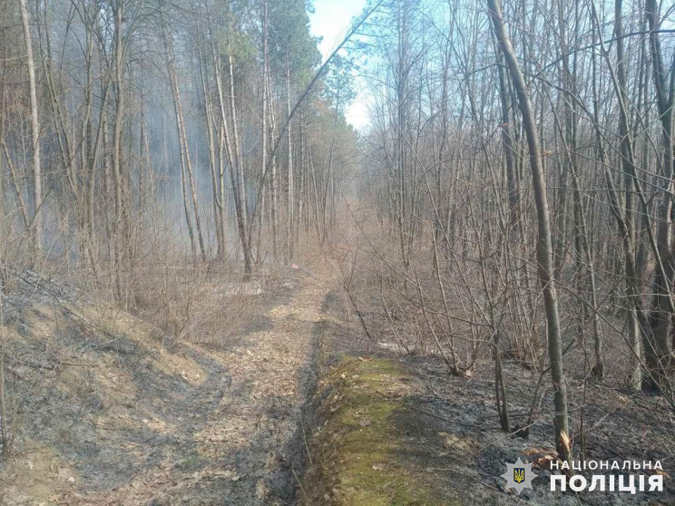 На Буковине горят два гектара леса…