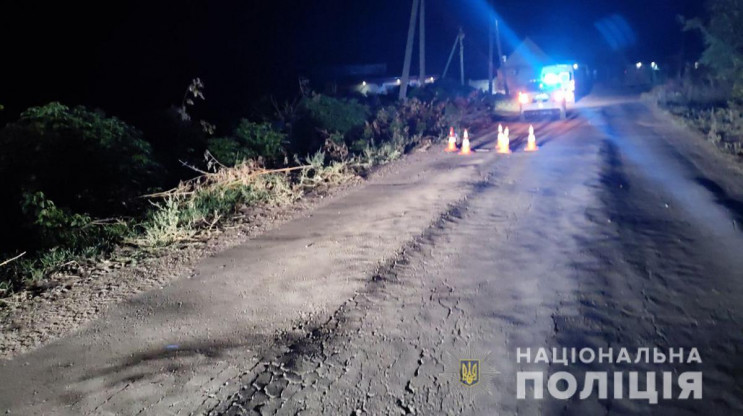 На Запорожье водитель автомобиля сбил пе…