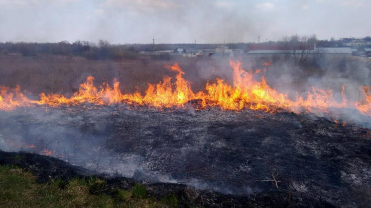 На Тернопільщині горять гектари торф'яни…