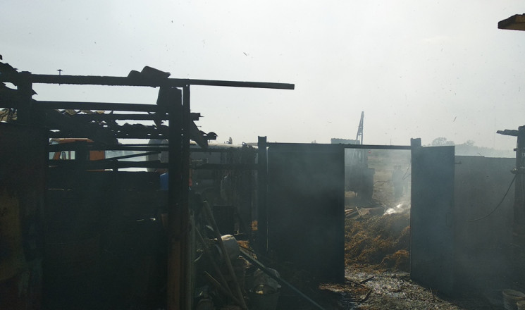 На Херсонщині в пожежі загинули кури та…