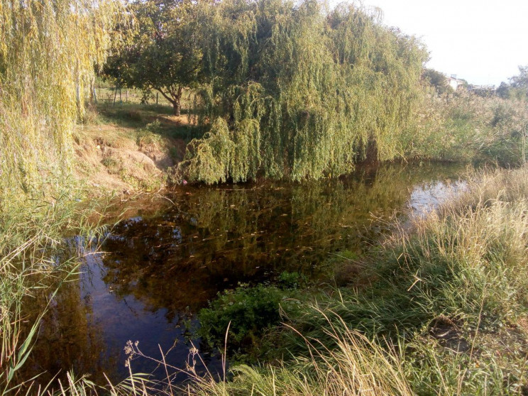 Малые реки Одесской области оказались на…