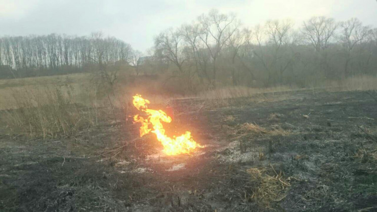 На Тернопільщині спалювання сухої трави…