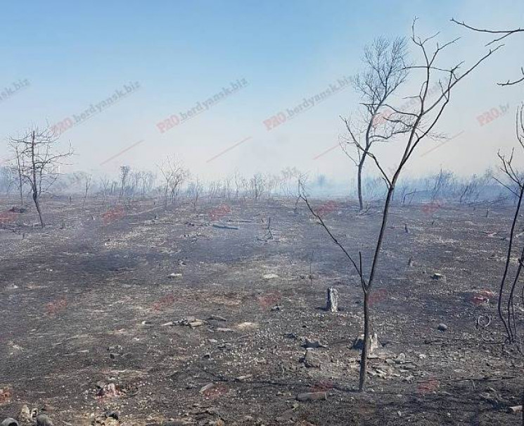 У Бердянську замість звалища з'явиться л…