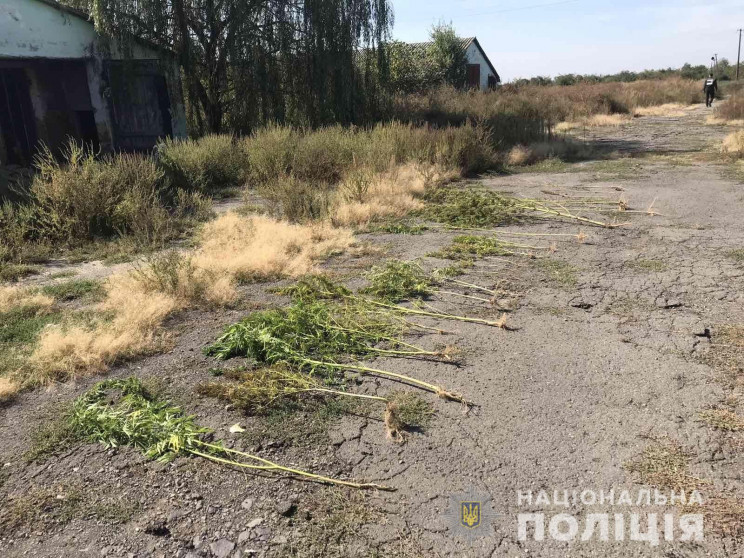 В Ужгородському районі поліція виявила п…