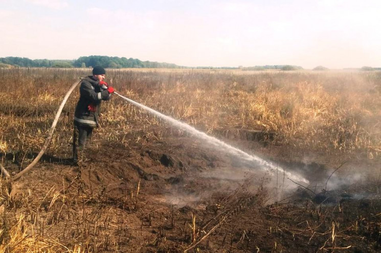 На Чернігівщині масово горять торфовища…