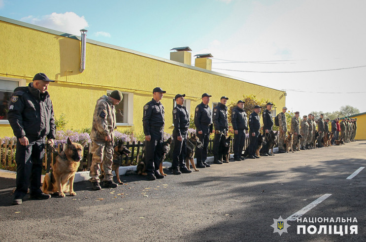 До Хмельницького з'їхалися кінологи з ус…