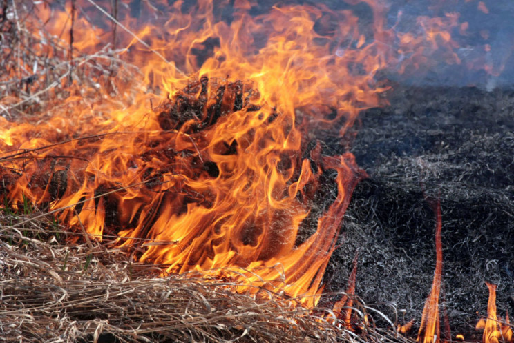 На Львів насуваються пожежі…