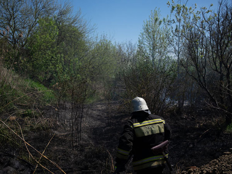 У Кримському районі на пустирі загорілас…