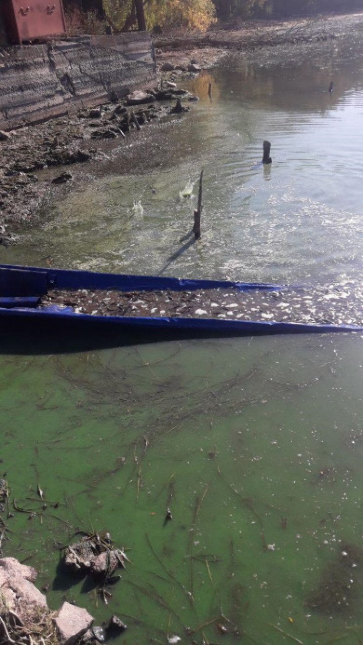 На Днепропетровщине в водоем "поселили"…