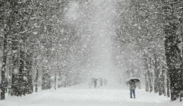 На Львівщині випав перший сніг (ФОТО)…