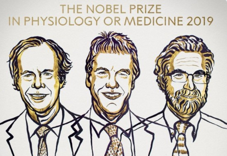 Нобелівську премію з фізіології і медици…