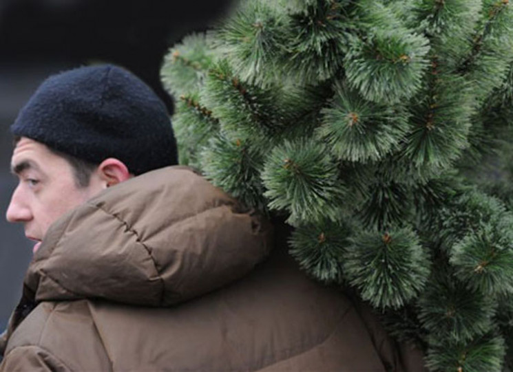 В Запорожье за три месяца до Нового года…