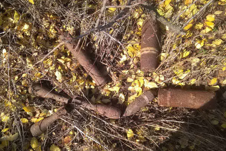 В харьковском лесу нашли снаряды, мины и…