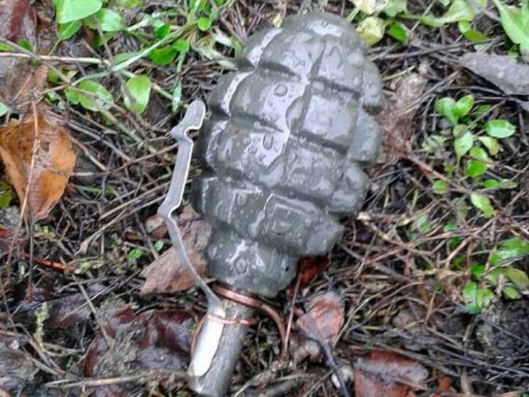 На Полтавщині у лісі виявили арсенал ста…