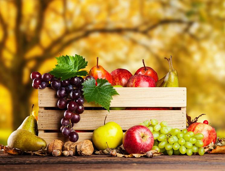 Яблука, виноград та картопля: Кияни смач…