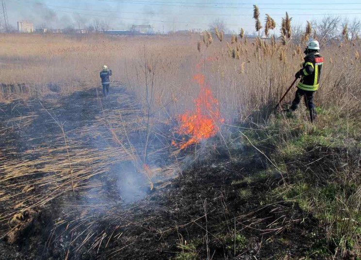 В Одесской области горело кукурузное пол…