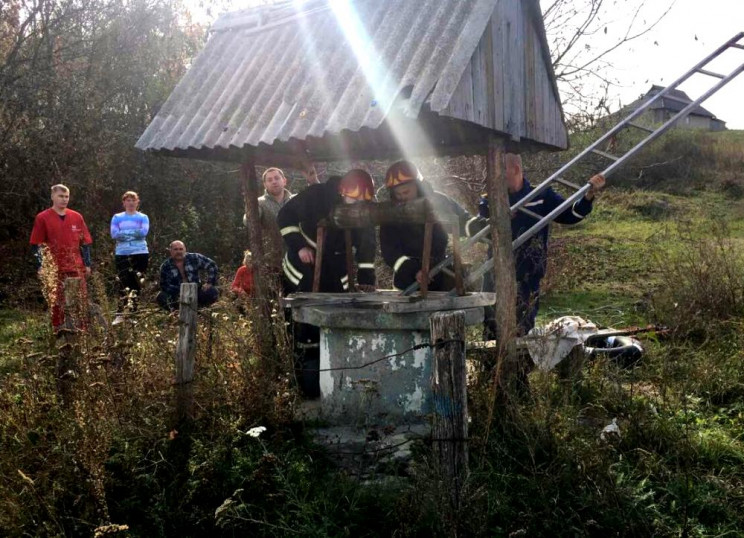 В Подольском районе в колодец упала женщ…